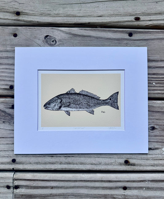 redfish print